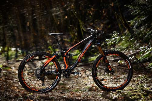 Ellsworth Rogue Sixty ficha tecnica 